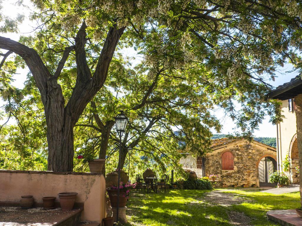 Agriturismo Verde Oliva Баньйо-а-Ріполі Екстер'єр фото